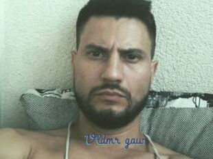 Vldmr_gaus