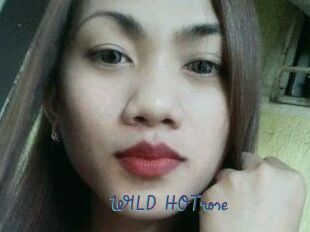 WILD_HOTrose