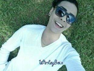 Wesley_Boix