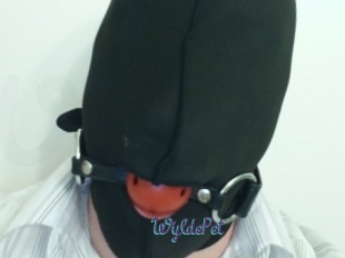WyldePet