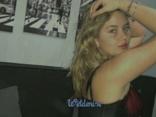 Wetdenise