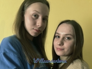 Willaandantonia