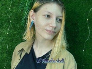 Wilonebaskett