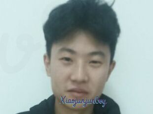 Xiaojunjunboy