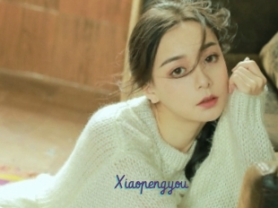 Xiaopengyou