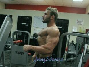 YoungSchwarz