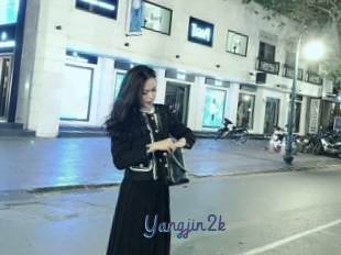 Yangjin2k