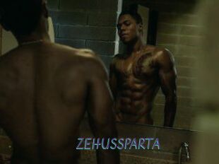 ZEHUS_SPARTA