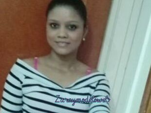Zaraymodeloweb