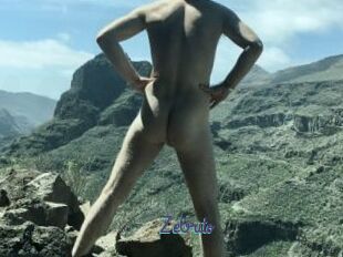 Zebrito