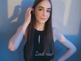 Zinet_new