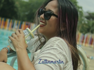 Zattinmartin