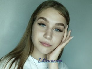 Zeldacannon