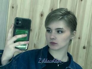 Zeldacolden