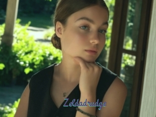 Zeldadrudge