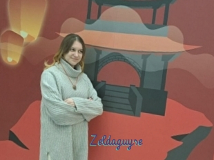 Zeldaguyse